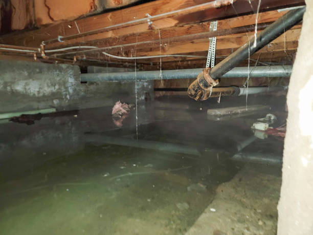 Best Flood restoration services  in Drumright, OK