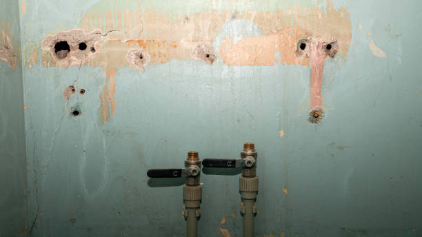 Best 24/7 water damage repair  in Drumright, OK