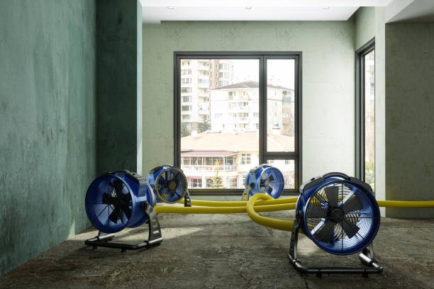 Best Sewage cleanup and water damage restoration  in Drumright, OK